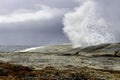 Blowhole- Bicheno, Tasmania, Australia Royalty Free Stock Photo