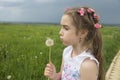 A girl blows on a dandelion against a stormy sky Royalty Free Stock Photo