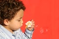 Blowing Bubbles - Red Background Royalty Free Stock Photo