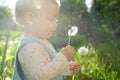 Blowing on dandelion Royalty Free Stock Photo