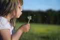 Blowing dandelion