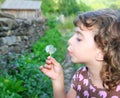 Blowing dandelion girl in rural green outdoor