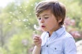 Blowing Dandelion Seeds Away Royalty Free Stock Photo