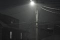 Blowing snow visible under street lamp at night Royalty Free Stock Photo