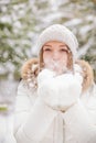 Blowing Snowflakes Royalty Free Stock Photo