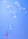 Blowing soup bubbles on blue background