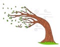 Blowing Wind Windy Day Bending Tree Royalty Free Stock Photo