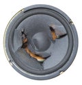 Blown speaker Royalty Free Stock Photo