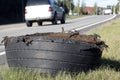 Blown tire of semi truck