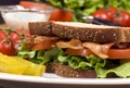 BLT 001 Royalty Free Stock Photo