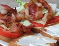 BLT Bacon, Lettuce and Tomato sandwich Royalty Free Stock Photo