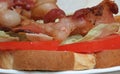 BLT Bacon, Lettuce and Tomato sandwich macro Royalty Free Stock Photo