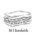 BLT sandwich with bacon, lettuce and tomato Royalty Free Stock Photo