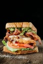 BLT sandwich on dark background Royalty Free Stock Photo