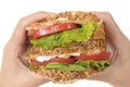 BLT sandwich by holding hands Royalty Free Stock Photo