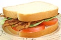 BLT sandwich on white bread Royalty Free Stock Photo