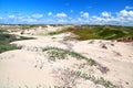 Sand dunes by Zandvoort aan Zee