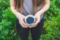 Bluberry Hands Royalty Free Stock Photo