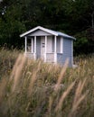 A blue abandoned beach hut in the tall grass on the beach in the village Falsterbo, Sweden