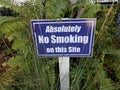 Blue absolutely no smoking on this site sign and plant