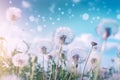 Blue Aerial Background with Fluffy Dandelions. Generative AI.