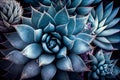 blue agave cactus close-up. Generative AI, Generative, AI