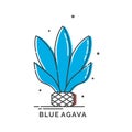 Blue agave plant for distill tequila. Isolated logo on white background. Flat style image of agricultural product with text Royalty Free Stock Photo