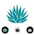 Blue agave plant vector silhouette. Royalty Free Stock Photo