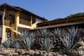 Tequila Factory with agave plants