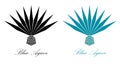 Blue agave or tequila agave plant. Agave logo design Royalty Free Stock Photo