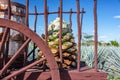 Blue Agave Wagon Closeup Royalty Free Stock Photo