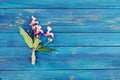 Blue wood texture with small bouquet of Indian balsam flowers. Impatiens glandulifera plant. Natural wooden boards rough backgroun