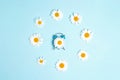 Blue alarm clock with chamomile flowers on a blue background Royalty Free Stock Photo