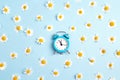 Blue alarm clock and chamomile flowers on blue background. Royalty Free Stock Photo