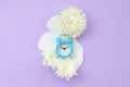 Blue alarm clock and white flowers lies on menstrual pads on pastel lilac background