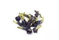 Blue Anchan tea, dried tea flowersFlowers of the clitoris triplicate