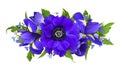 Blue anemones, irises and forget-me-not Brunnera flowers in a floral arrangement isolated