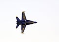 Blue Angel Royalty Free Stock Photo