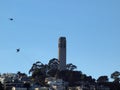 Blue Angel Fighter jets fly by Coit Tower
