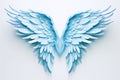 blue angel wings isolated on white background Royalty Free Stock Photo