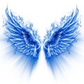 Blue angel wings isolated on white background Royalty Free Stock Photo