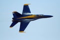 Blue Angels Royalty Free Stock Photo