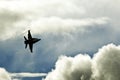 Blue Angels F 18 Hornet
