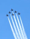 Blue Angels fly over Broward Health Hospital