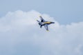 Blue Angels Performing Aerial Demonstrations in Jacksonville, Florida