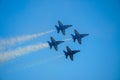 The Blue Angels is the United States Navy`s flight demonstration squadron