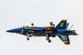 Blue Angles F/A-18 Hornets.