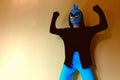 Blue angry bird boxing winner Royalty Free Stock Photo