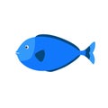 Blue aquarium exotic fish tropical Royalty Free Stock Photo