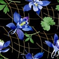 Blue aquilegia floral botanical flowers. Watercolor background illustration set. Seamless background pattern. Royalty Free Stock Photo